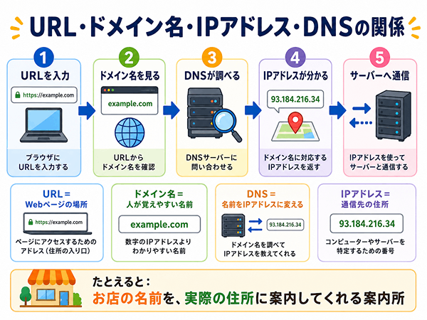 URLとドメイン名とDNSとIPアドレスの関係を初心者向けに整理した図