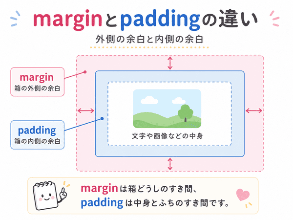 marginとpaddingの違いを、外側の余白と内側の余白で示した図