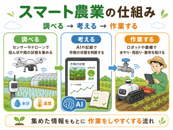 スマート農業の仕組み。センサーやドローンで調べ、AIや記録で考え、ロボットや農機で作業を助ける流れを示した図