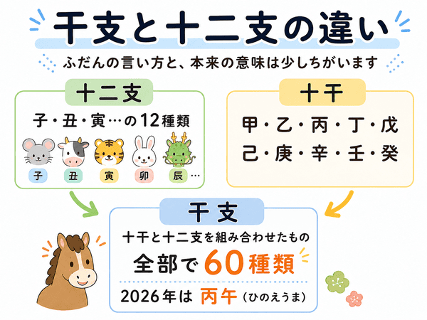 干支と十二支の違いをわかりやすく説明した図解